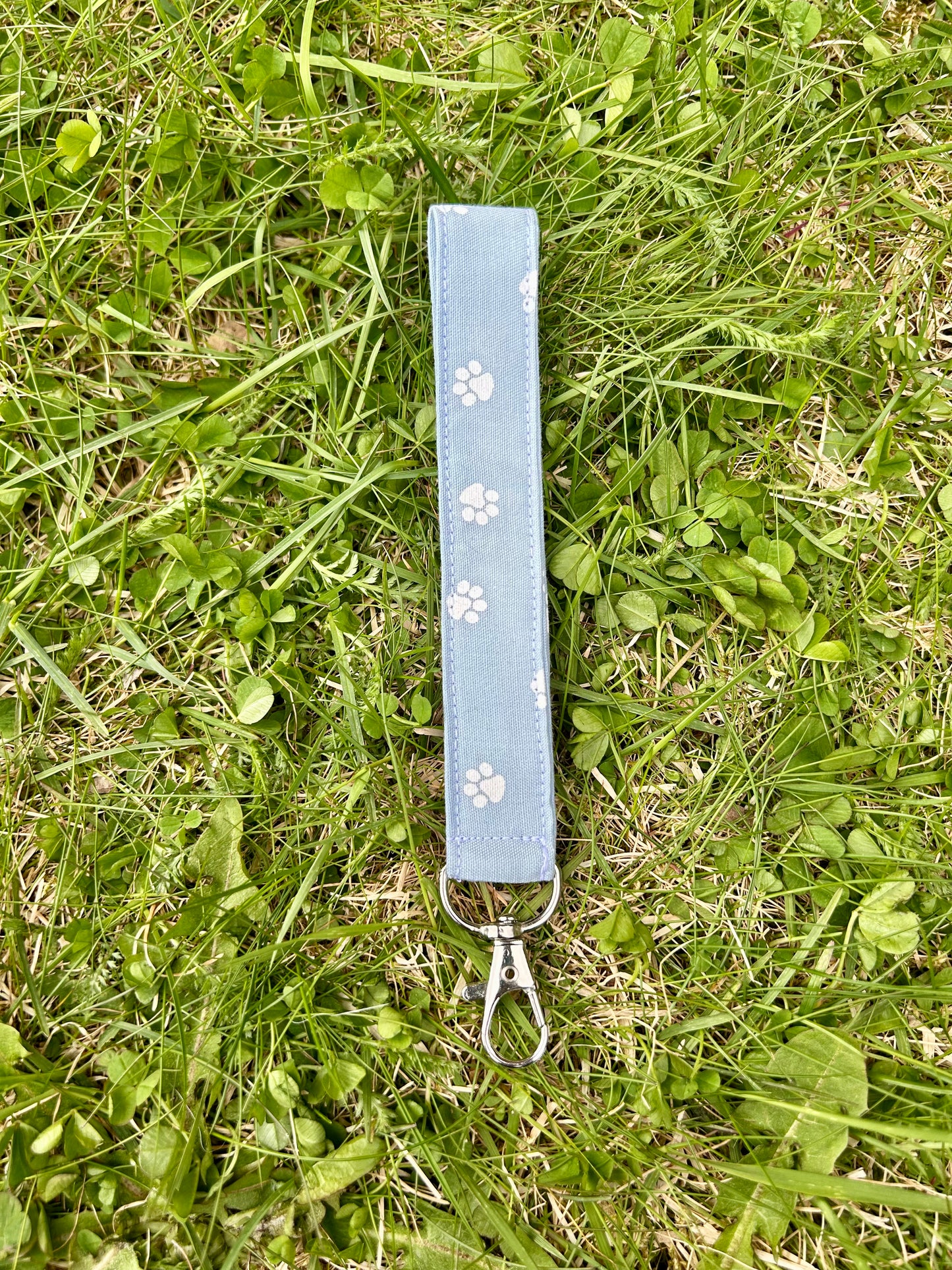 Blue Paws keychain
